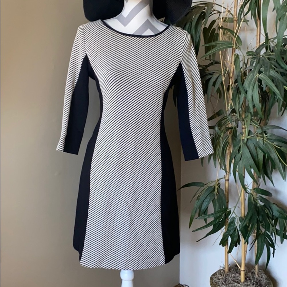 Banana Republic color block dress